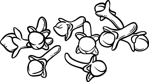 Spice illustration 3